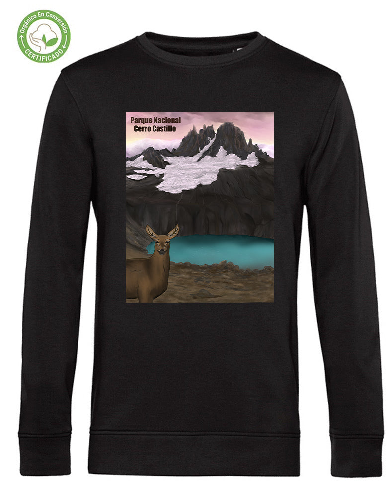 Polerón Eco Hombre Parque Nacional Cerro Castillo Crew Neck
