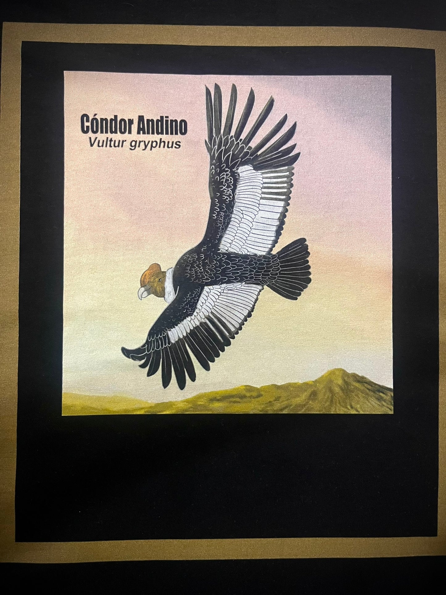 Polera Eco Mujer Cóndor