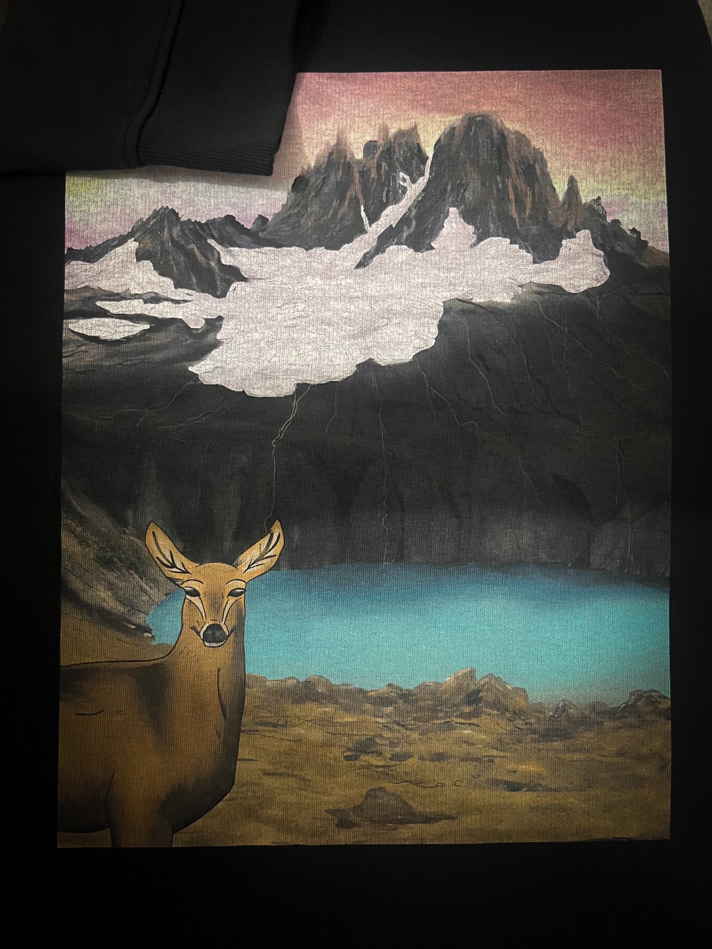 Polerón Eco Mujer Parque Nacional Cerro Castillo Crew Neck