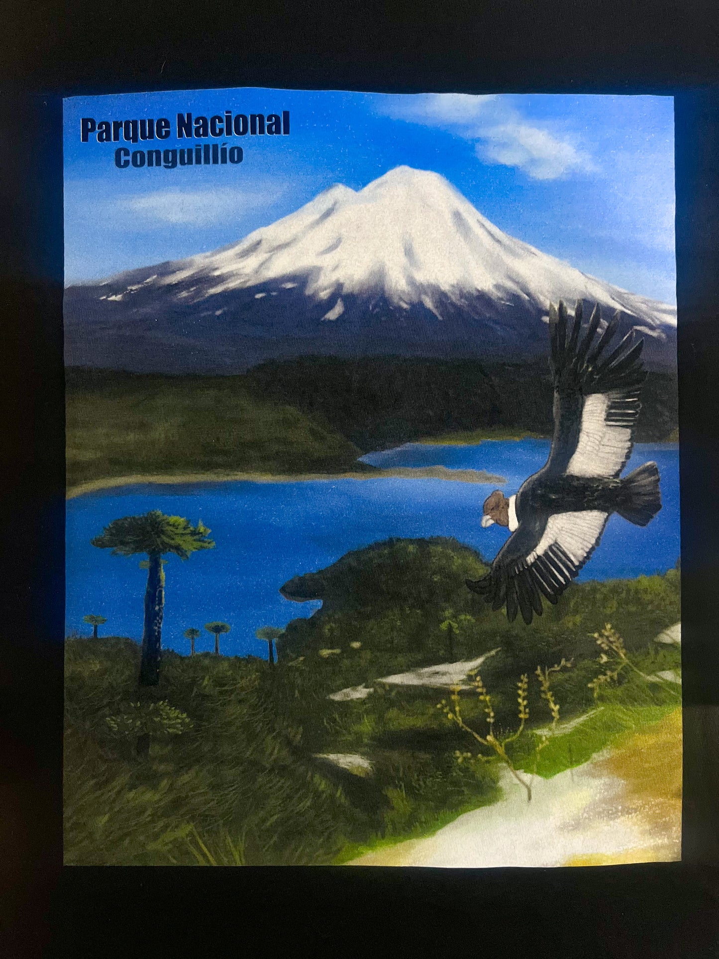 Polera Eco Mujer Parque Nacional Conguillío