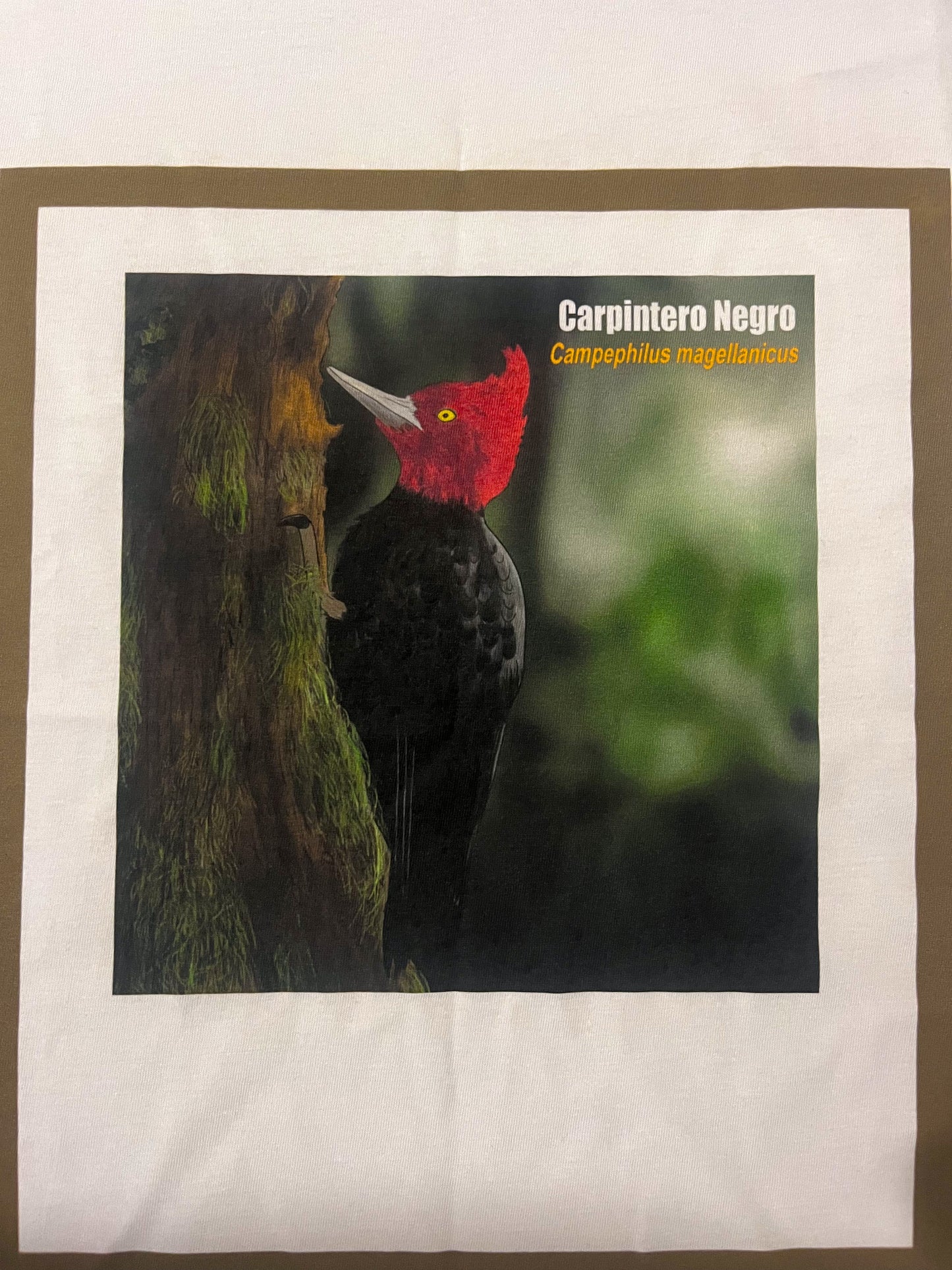 Polera Eco Mujer Carpintero Negro