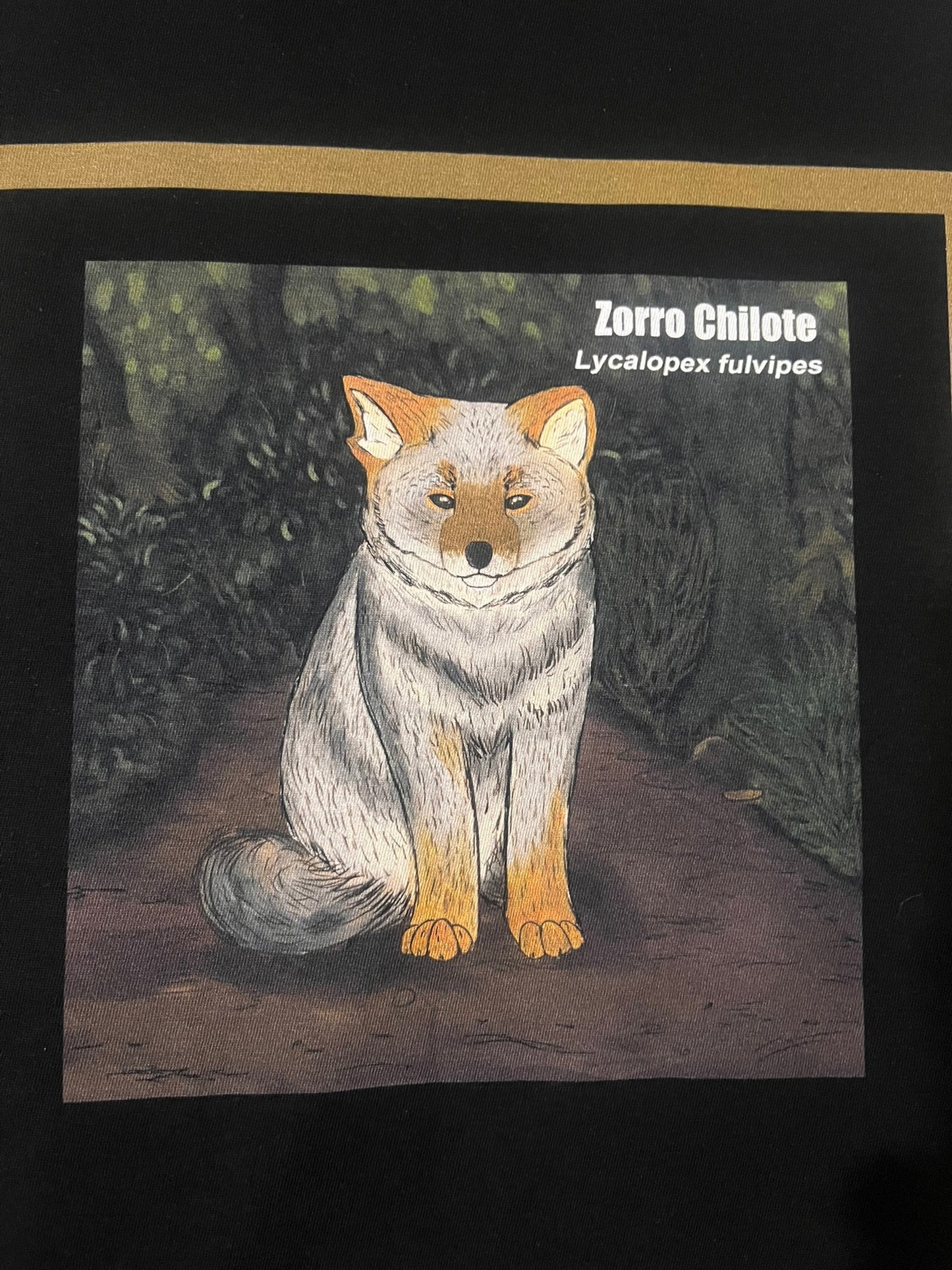 Polera Eco Hombre Zorro Chilote