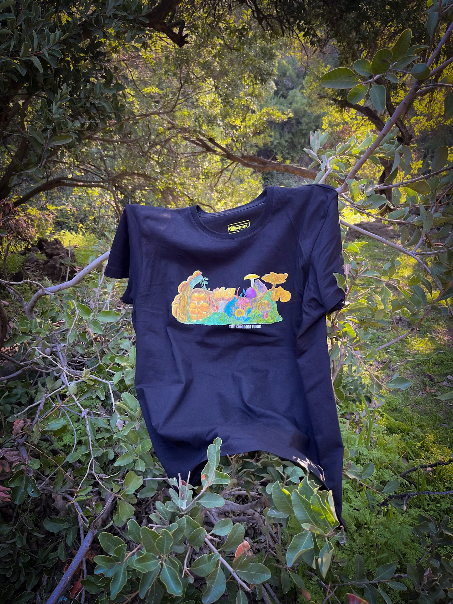Polera Eco Hombre The Kingdom Fungi